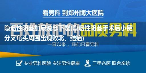隐退性阴茎加尿说念下裂(隐退性阴茎手术后小便分叉龟头周围出现败北